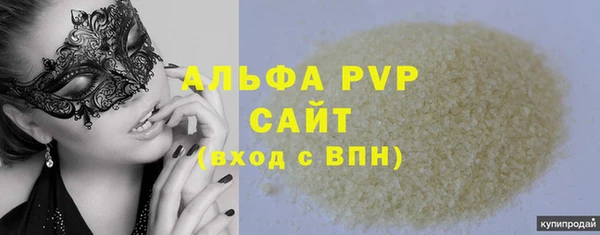 сатива Карпинск