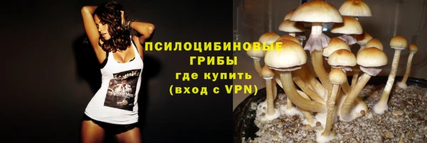сатива Карпинск