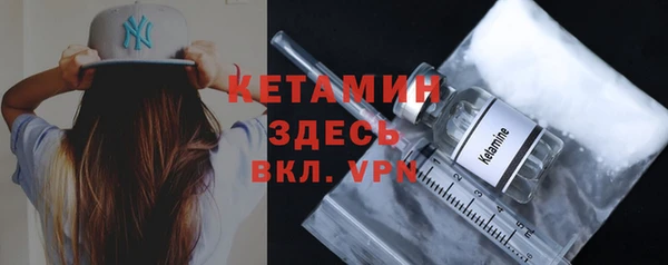 сатива Карпинск