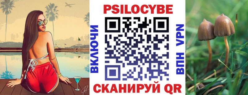 блэк спрут ТОР  Юрга  Псилоцибиновые грибы ЛСД 