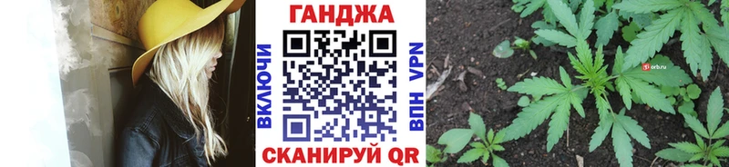 где найти наркотики  Юрга  Каннабис VHQ 